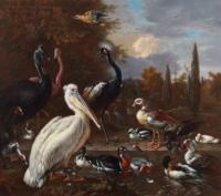 Hondecoeter. A Pelican and Other Birds Near a Pool.